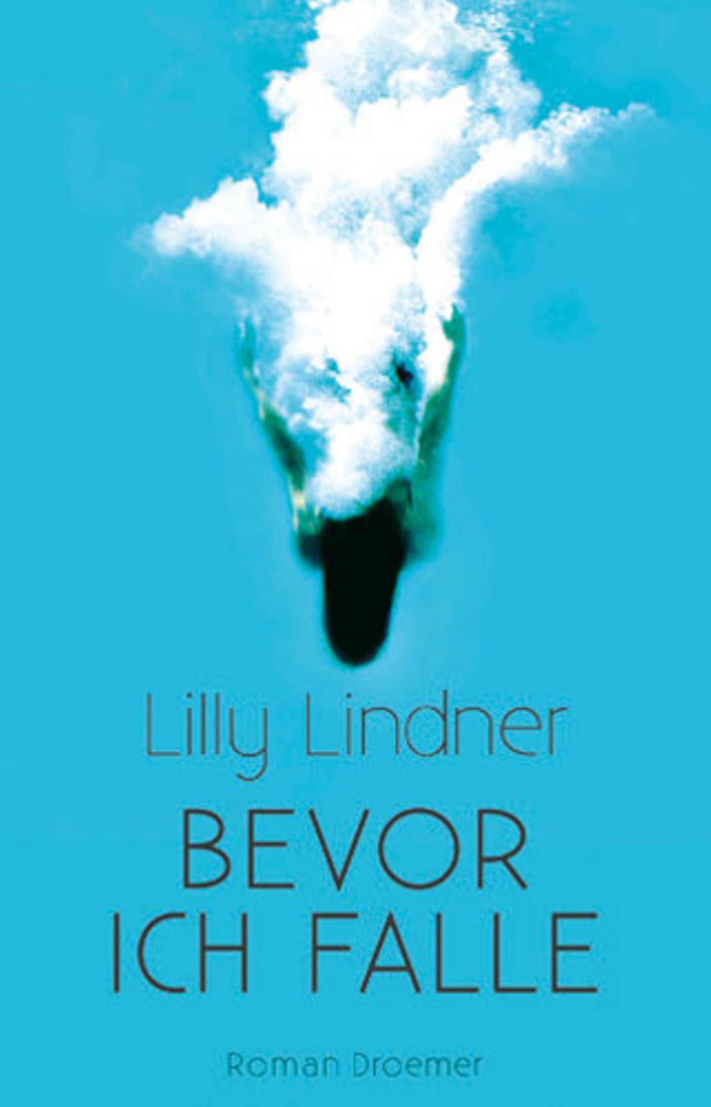Lilly Lindner: Bevor ich falle