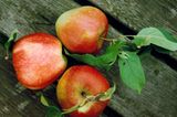 Beauty-Food: Äpfel