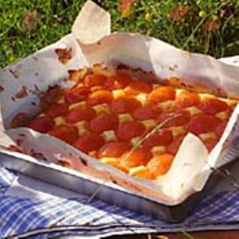 Aprikosen-Quark-Kuchen