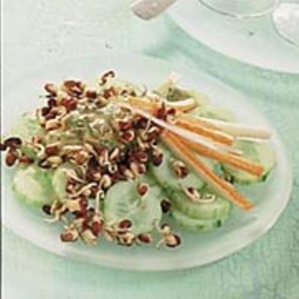 Gurken-Sprossen-Salat mit Surimi