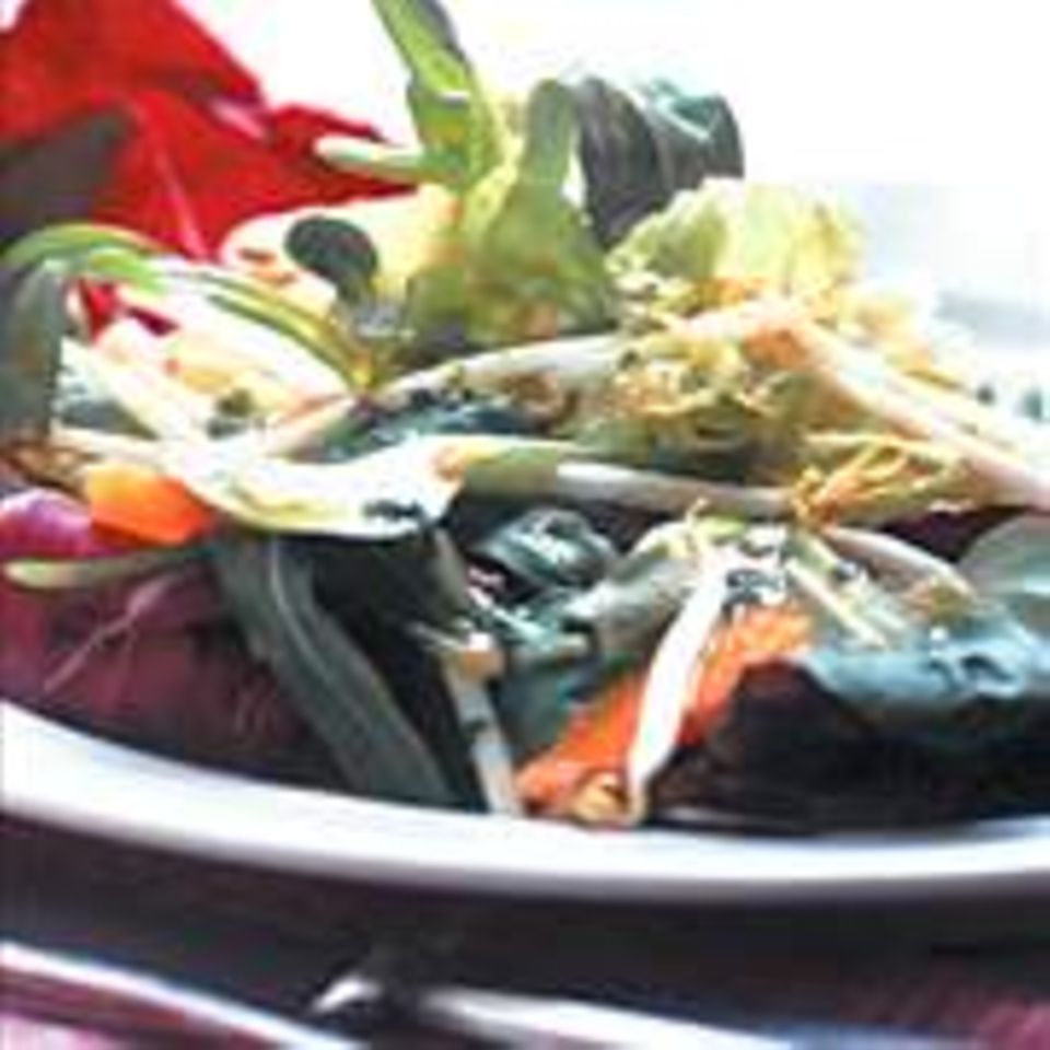 Blattsalat mit Sprossen