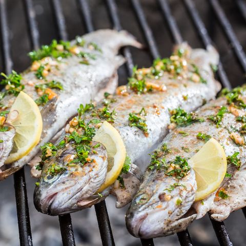 Forelle Wrzen Zum Grillen