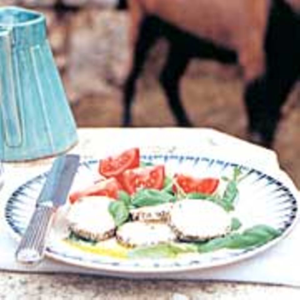 Ziegen-Frischkäse mit Tomaten und Basilikum