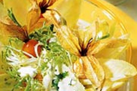 Chicoréesalat mit Frisée und Physalis