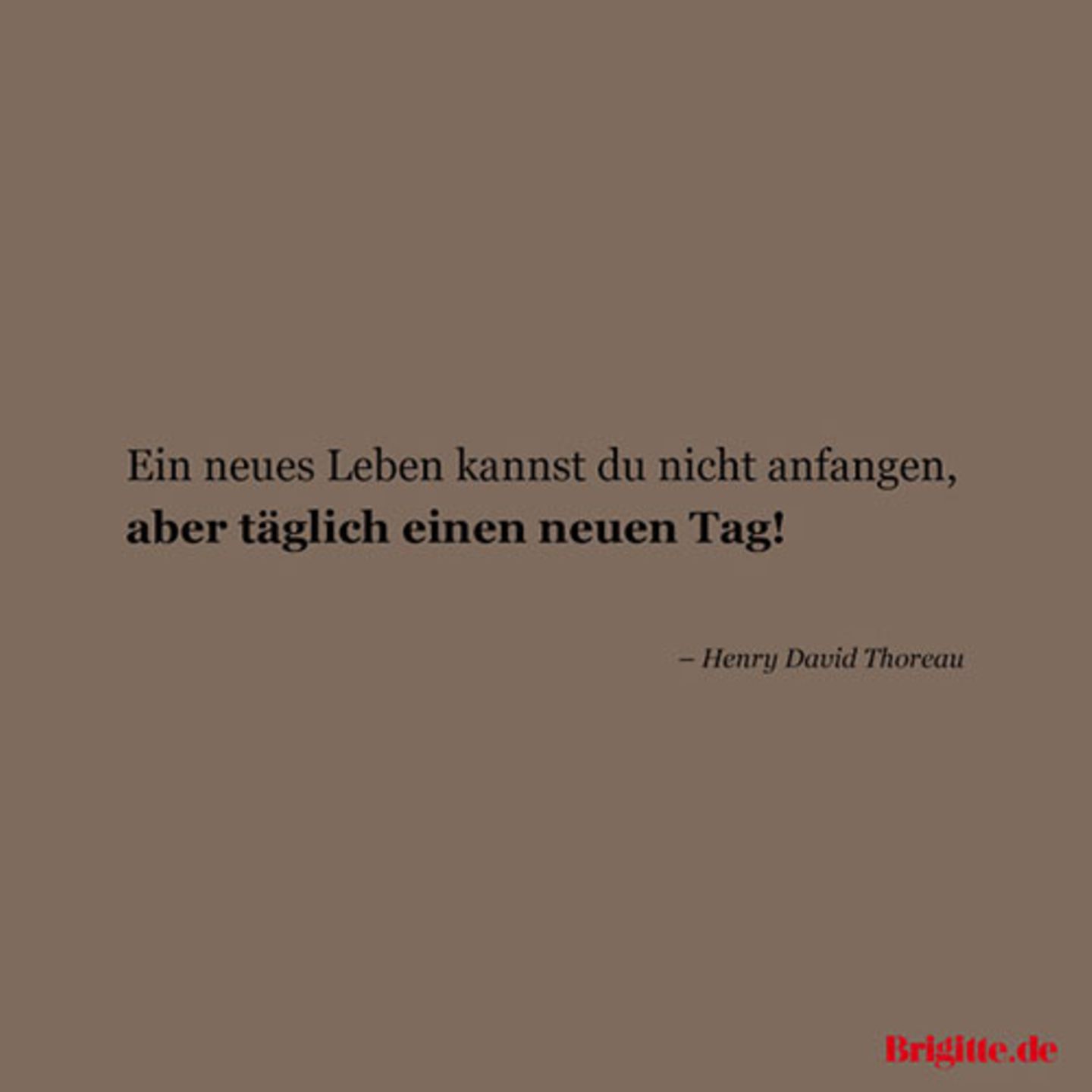 Spruche Zitate Fur Neuanfange Brigitte De