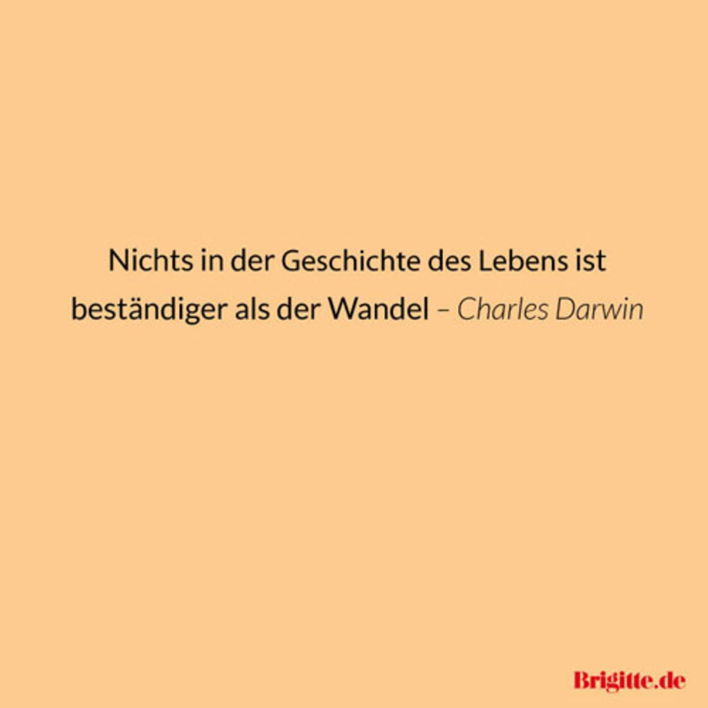 Spruche Zitate Fur Neuanfange Brigitte De