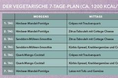 Vegetarischer Diätplan für eine Woche Diätplan vegetarisch für eine Woche