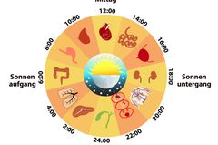 Jede Nacht um die gleiche Zeit wach? Dieses Warnsignal deines Körpers steckt dahinter Jede Nacht um die gleiche Zeit wach? Dieses Warnsignal deines Körpers steckt dahinter