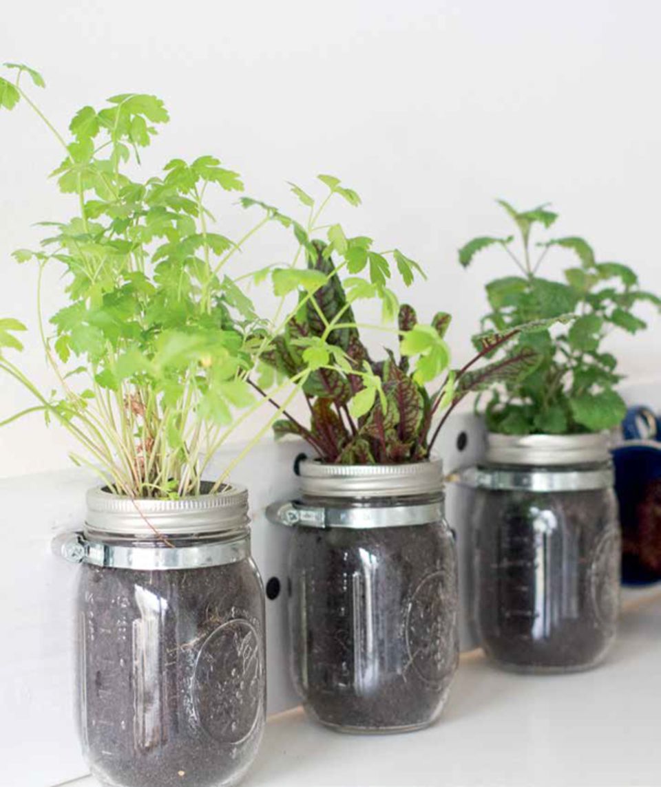 Grün im Einmachglas Kleiner Garten im Glas BRIGITTE.de