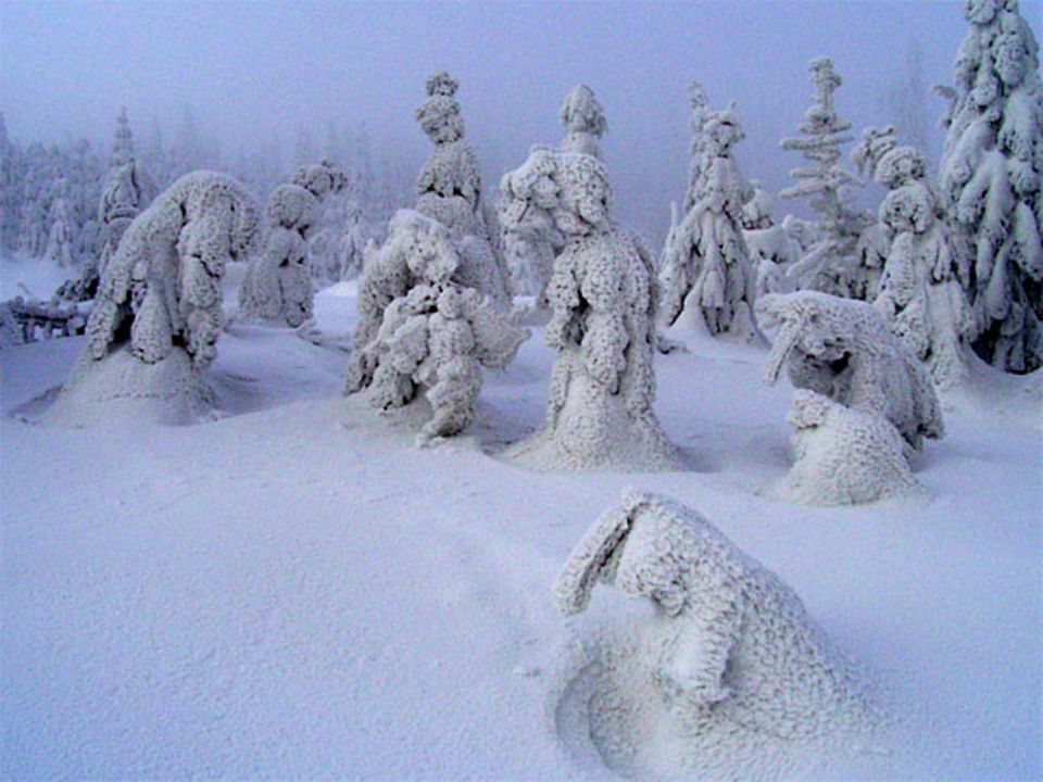 Winterwunderland: Die schönsten Bilder