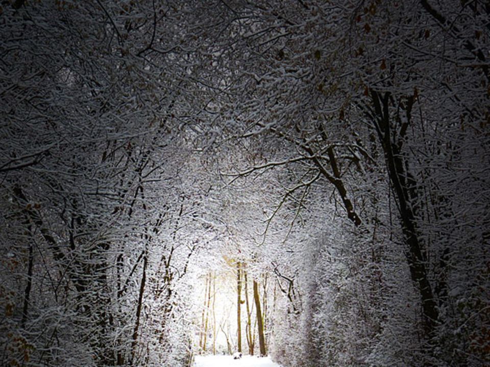 Winterwunderland: Die schönsten Bilder