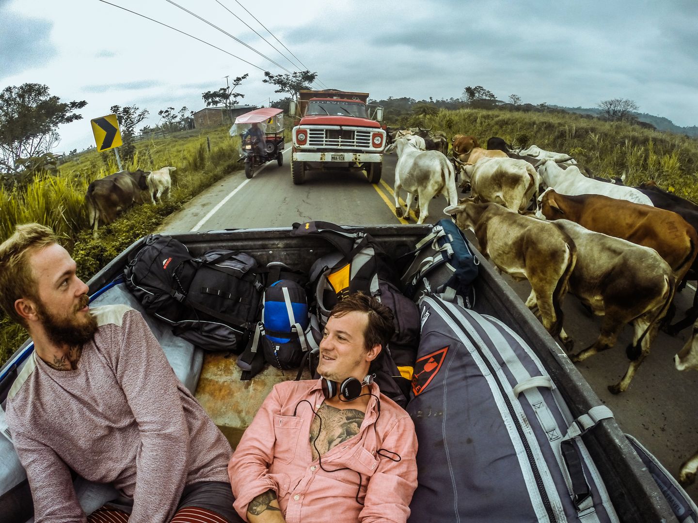 Zum Bild: Bequem und mit guter Aussicht - Cozy und Jo stecken im equadorianischen "Stau".