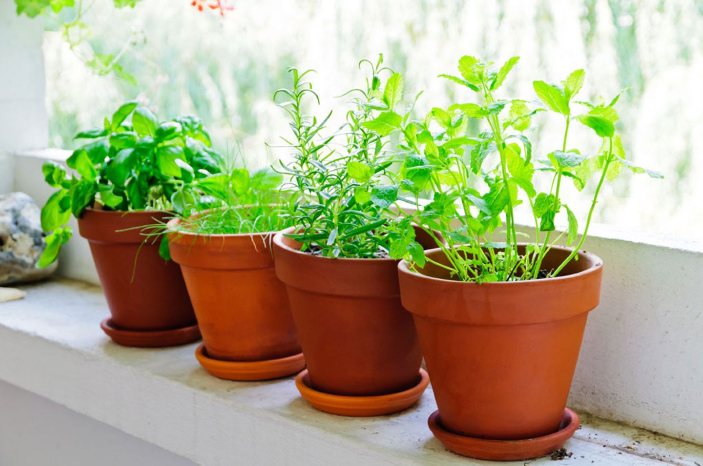 Frisch Aus Dem Topf Urban Gardening Das Beste Gemuse Fur Balkon Fensterbank Brigitte De