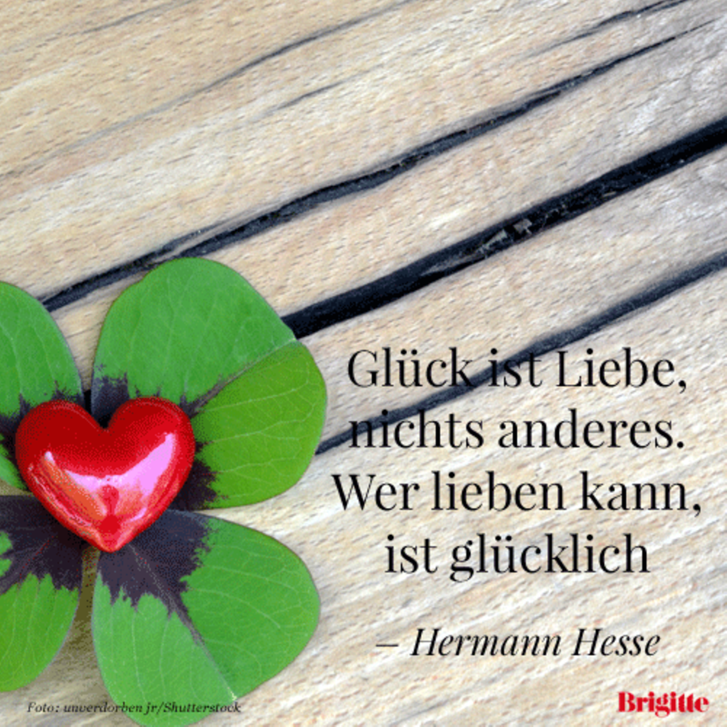 Zitate hermann hochzeit hesse