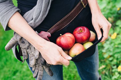 Wie dir der Bio-Garten jede Menge Arbeit abnimmt