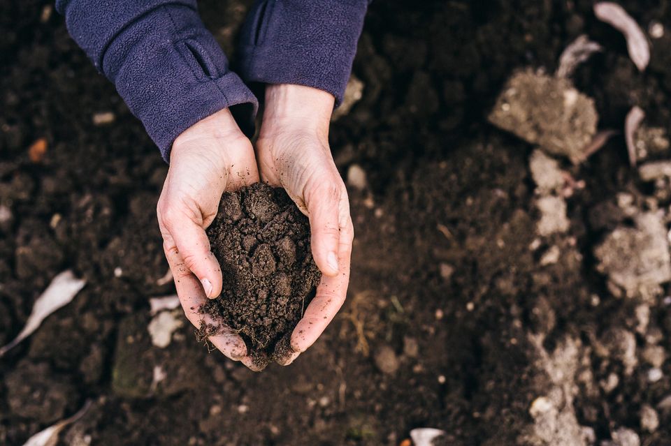 Wie dir der Bio-Garten jede Menge Arbeit abnimmt Wie dir der Bio-Garten jede Menge Arbeit abnimmt