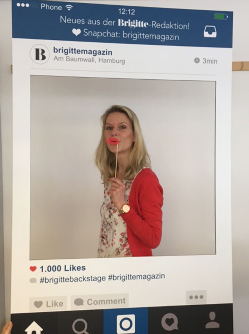 BRIGITTE Instagram-Box