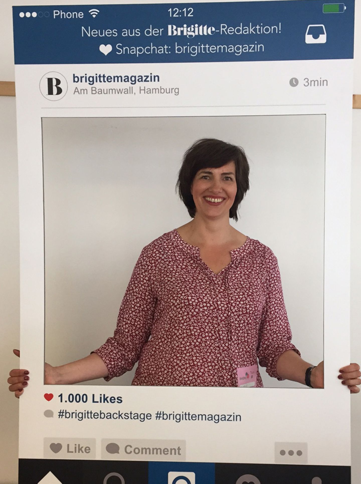 BRIGITTE Instagram-Box