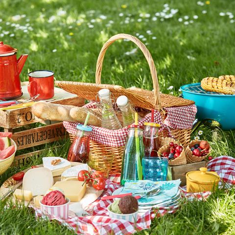 Picknick-Rezepte: Freunde beim Picknick