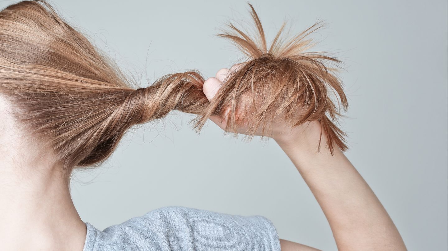 Haare Haarausfall Die Zehn Wichtigsten Antworten Brigitte De