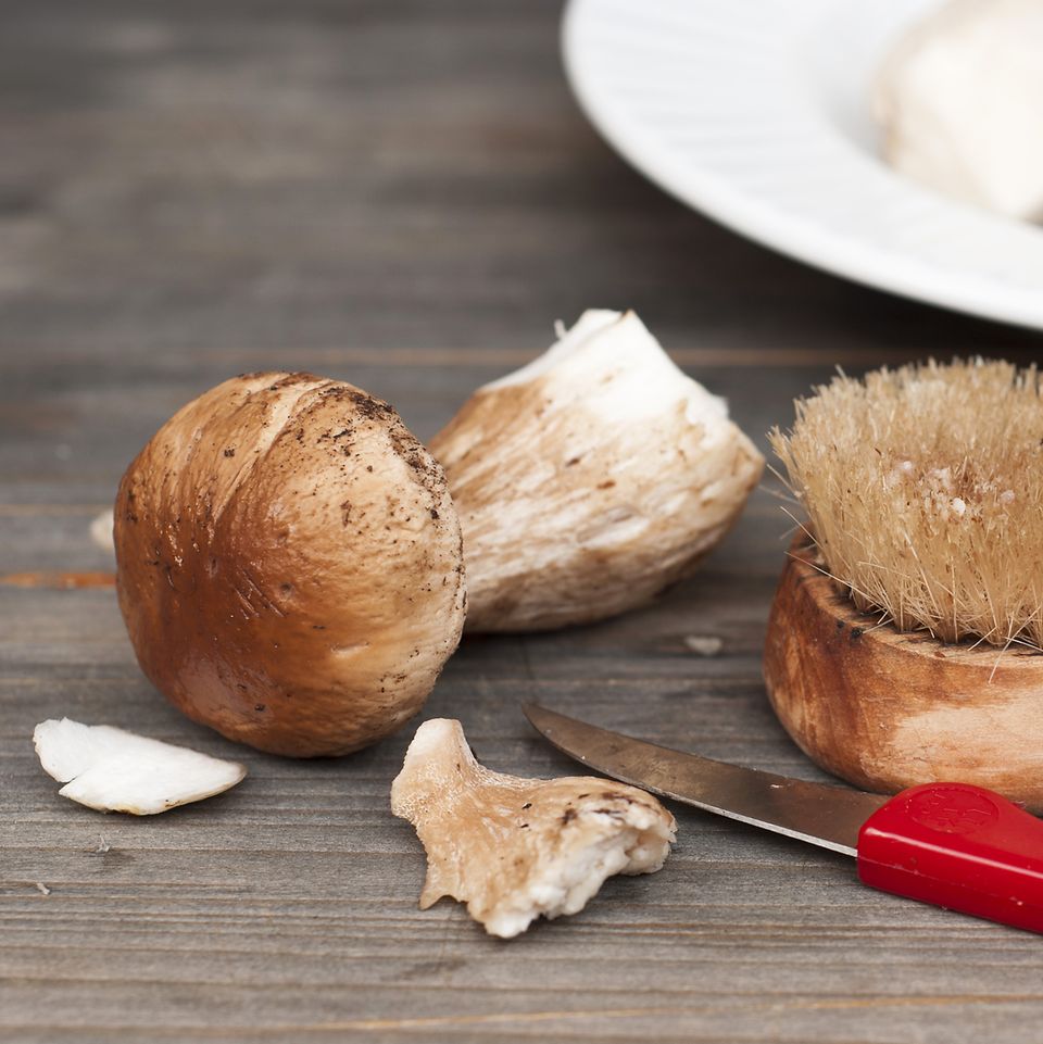 Mit unseren Tipps Pilze richtig säubern