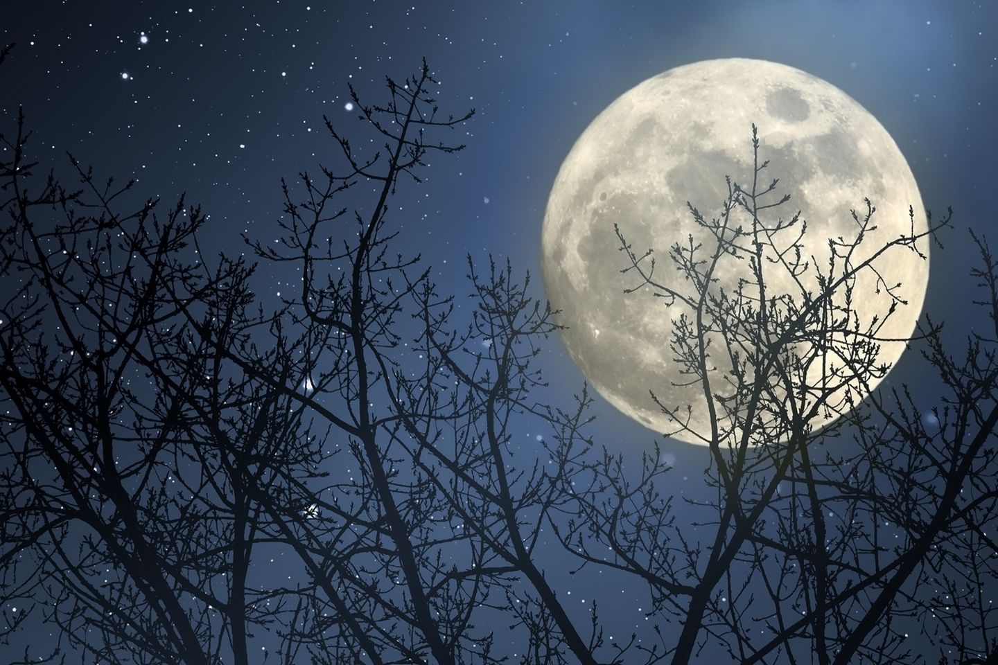 Mondkalender: Mond am Himmel