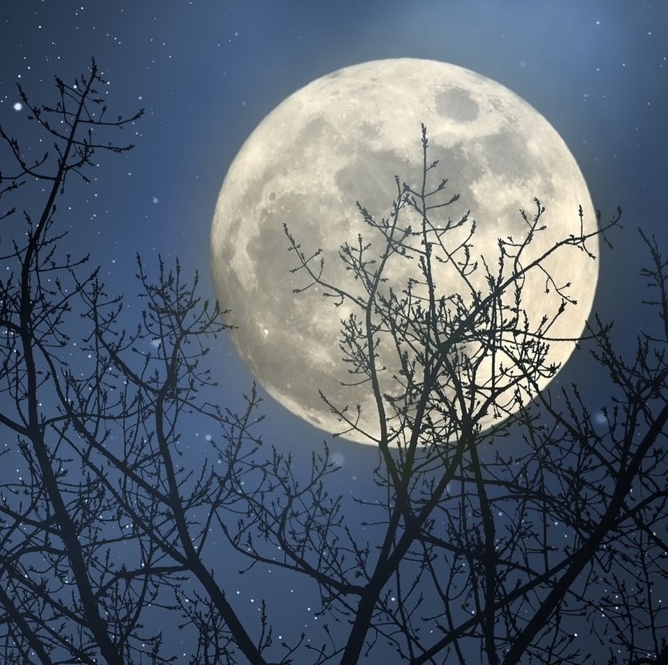 Mondkalender: Mond am Himmel