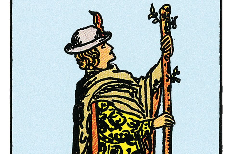 Der Bube der Stäbe deine Tarotkarte BRIGITTE.de