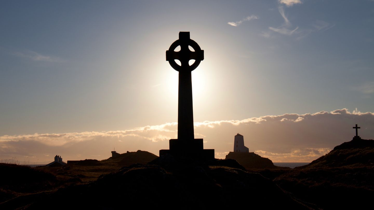 Das Keltische Kreuz Und Andere Legesysteme Brigitte De