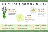 Gärtnern auf dem Balkon - die besten Tipps