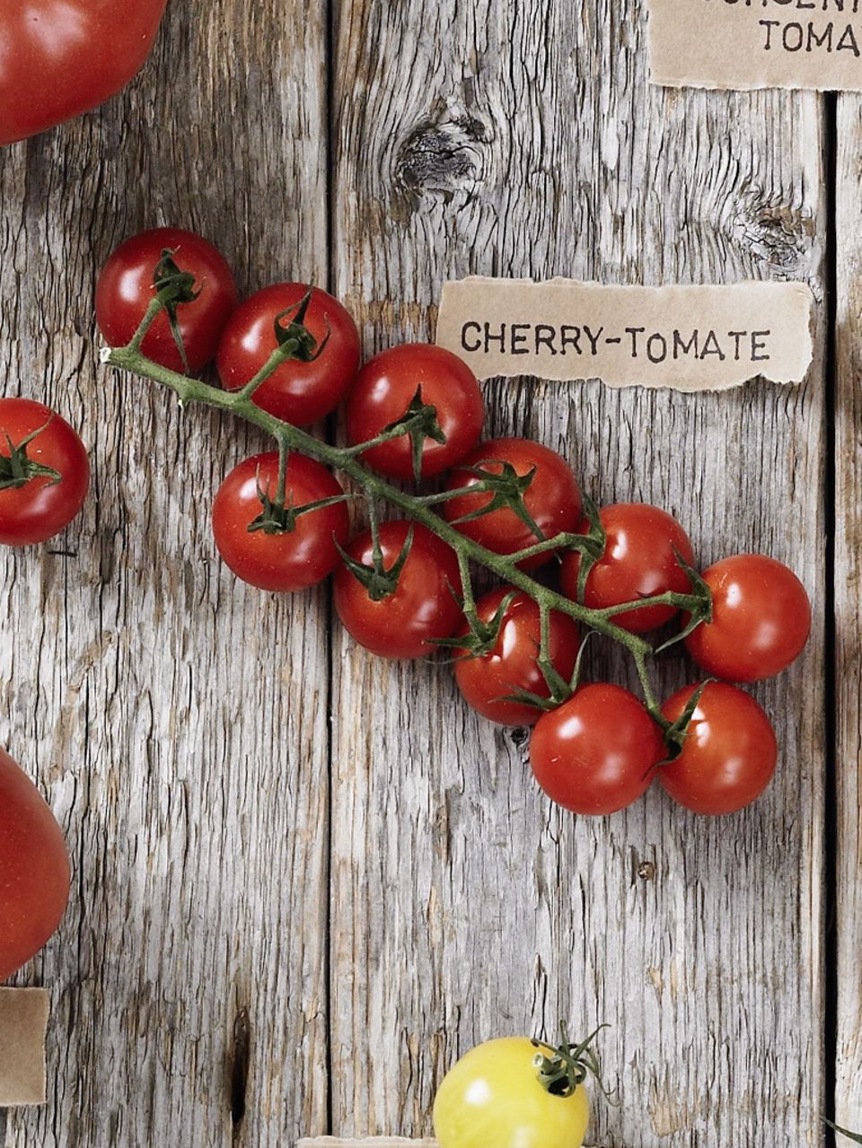 Tomatensorte Cherry-Tomate