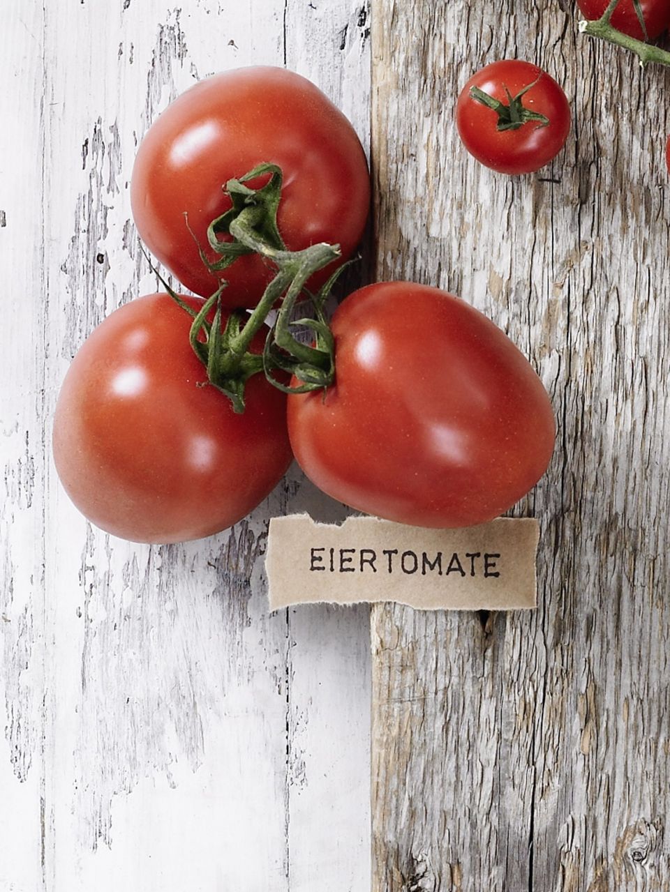 Tomatensorte Eiertomate