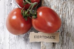 Tomatensorten: Welche gibt's? Wie isst man sie? | BRIGITTE.de