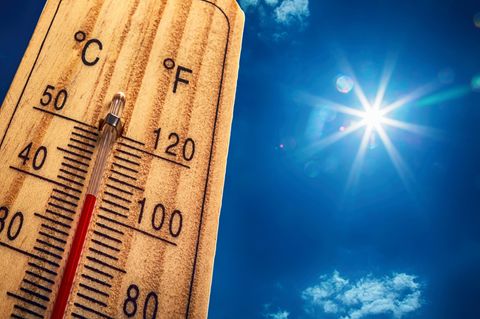Hitze-Schock: Hier wird es morgen bis zu 40 Grad heiß!