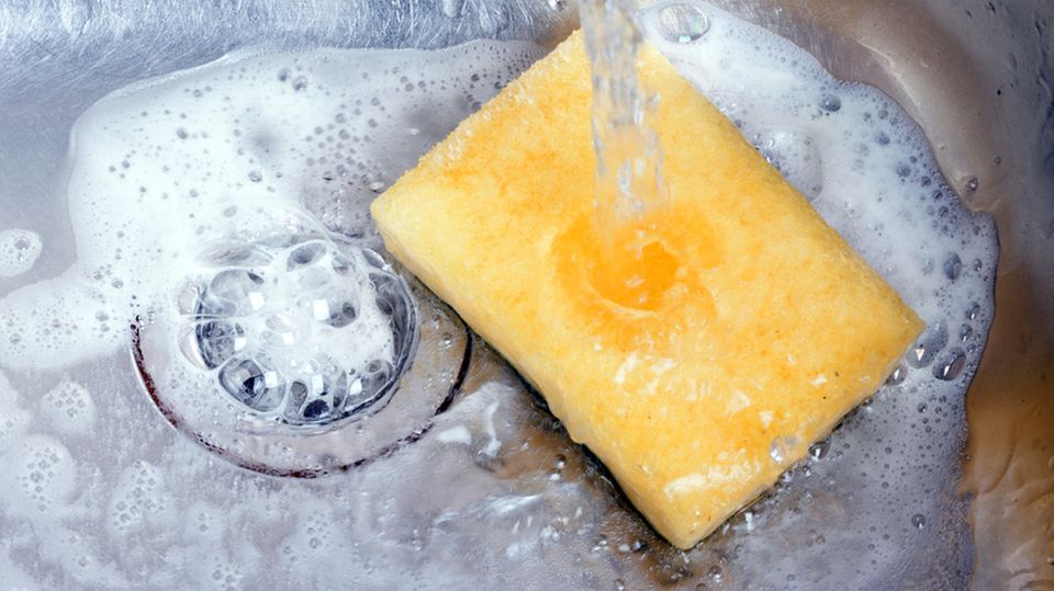 Ekelfaktor Spülschwamm: Unbedingt wechseln - nicht nur heiß auswaschen! Ekelfaktor Spülschwamm: Unbedingt wechseln - nicht nur heiß auswaschen!