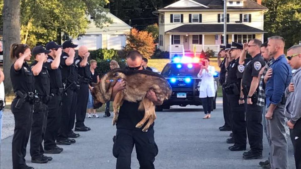 Rührender Abschied: Krebskranker Polizeihund bekommt das letzte Geleit