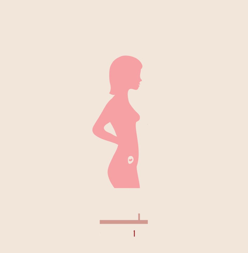 Die ersten Schwangerschaftswochen (1-4): Der Beginn neuen Lebens