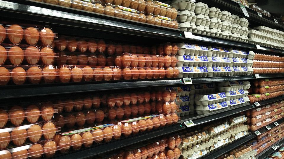 Firponil-Sknadal: Eier-Gift steckt auch in Likör und Backwaren Fipronil-Skandal: Eierkartons in Supermarktregalen.