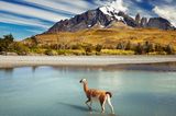 Lonely Planet Reiseländer Chile