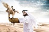 Falke in der Wüste