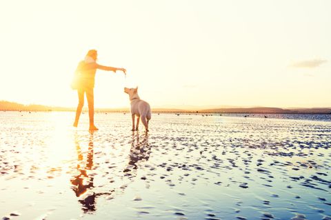 Eine junge Frau am Strand mit einem Hund.