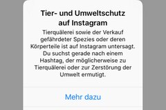 Instagram: Warnhinweis bei Suche nach Tier-Selfies Instagram: Screenshot des Warnhinweises zur Suche nach Tier-Selfies