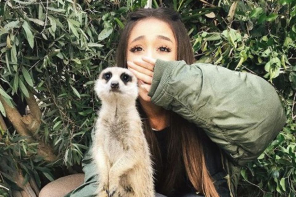 Ariana Grande auf Instagram