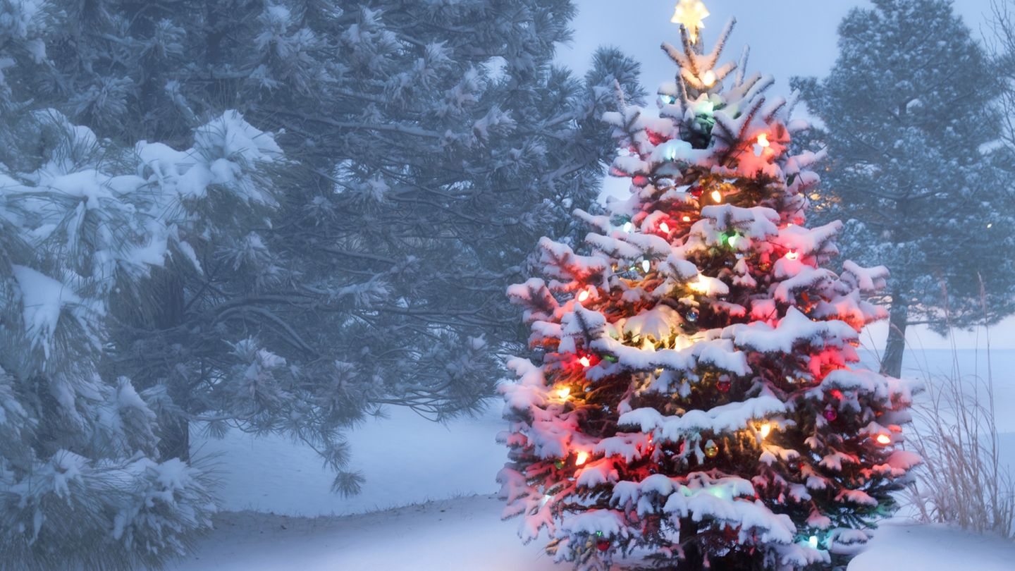 Prognose WeiГџe Weihnachten 2021 Prognose WeiГџe Weihnachten 2021