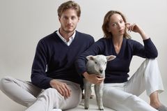 Pullover aus Schafswolle Pullover aus Schafswolle