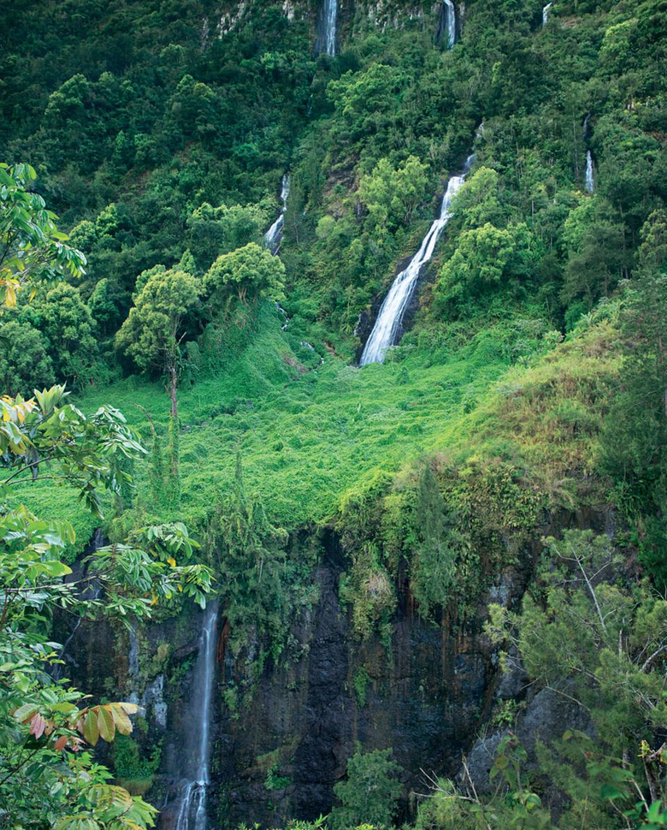 Wildes Grün: Der "Cirque de Salazie", in dem zahlreiche Wasserfälle den Urwald gießen, ist einer von drei Talkesseln des erloschenen "Piton des Neiges"