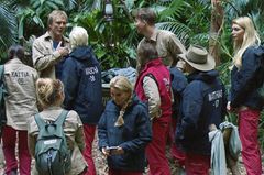 Im Dschungelcamp angekommen, wird erst mal über die "Zustände" diskutiert. Im Dschungelcamp angekommen, wird erst mal über die "Zustände" diskutiert.
