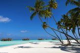 Die besten Hotels der Welt: Gili Lankanfushi Maldives