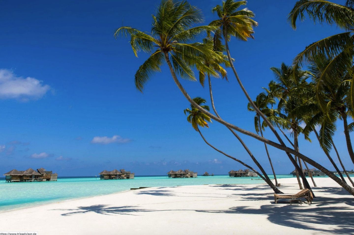 Die besten Hotels der Welt: Gili Lankanfushi Maldives