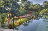 Die besten Hotels: Nayara Springs La Fortuna de San Carlos, Costa Rica